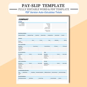 Professional Pay Slip/Pay Stub for Business, Contractors, Employees. Editable, Fillable Paystub/Payslip. PDF auto calculates totals.