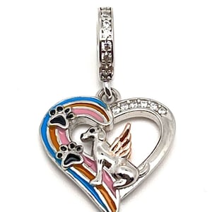 Dog Pawprints Rainbow Memorial Heart Charm Dog Gift 925 Sterling Silver for bracelet