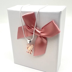 Collier Pendentif FC Barcelone Option de Gravure, Acier Inoxydable, Bijou Sportif Football