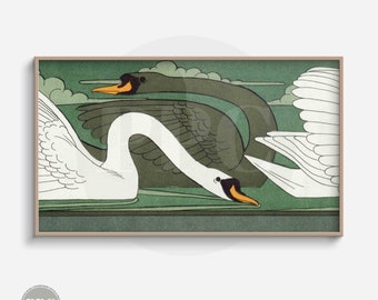 May include: A vintage illustration of two white swans with black heads and orange beaks swimming in a green pond. The swans are intertwined with their necks curved and their wings spread out. The background is a green and blue landscape with clouds.