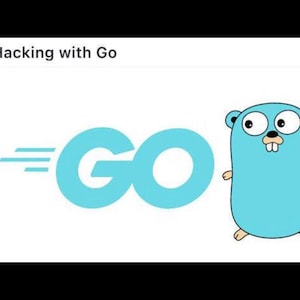 Hacking with Go - Ebook numérique PDF