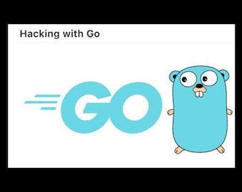 Hacken mit Go - Digitales PDF Ebook