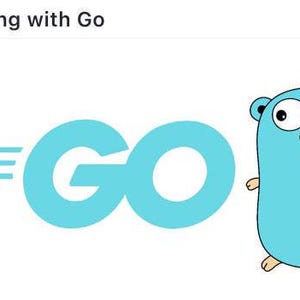 Hacking with Go - Digital PDF Ebook