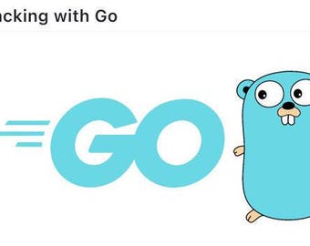 Hacking with Go - Digital PDF Ebook