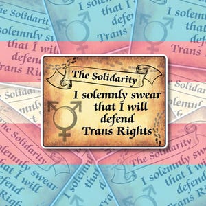 May include: A sticker with a parchment-style design featuring the text "The Solidarity, I solemnly swear that I will defend Trans Rights." The sticker includes the transgender symbol and is set against a background of transgender pride flags.