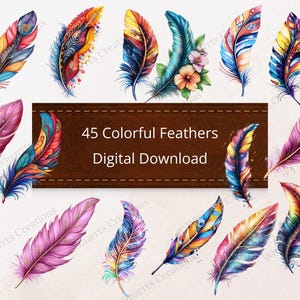 45 färgglada fjädrar PNG Clipart akvarell inhemsk konst fjädrar Clipart digital utskrivbar sublimering direkt nedladdning illustration
