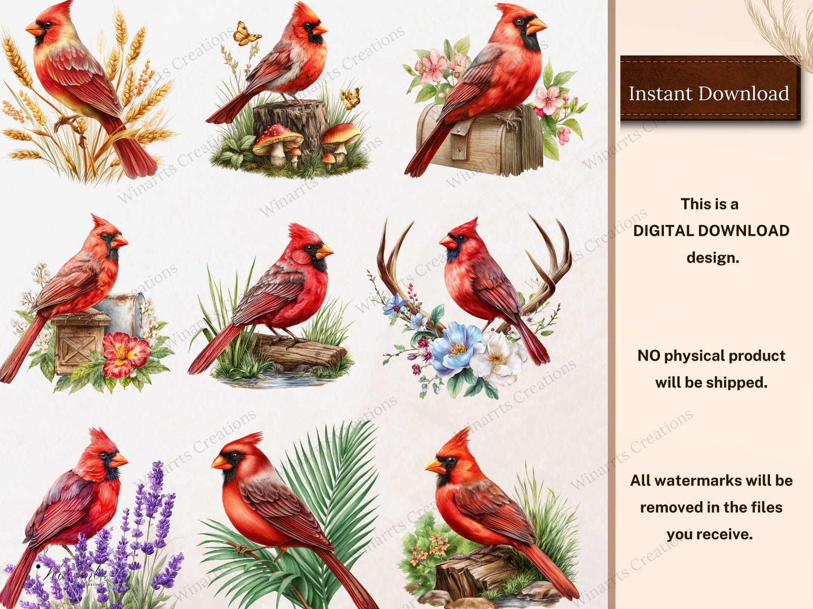 245 Watercolor Cardinal Clipart Bundle All Seasons Cardinal Christmas ...