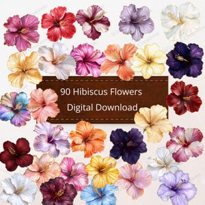 90 Hibiscus Flowers Clipart Bundle Digital Download PNG Printable High Quality Sublimation Instant Download Illustration Tropical Flowers