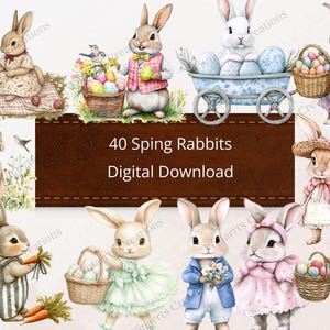 40 Spring Bunny Rabbit Clipart Digital Download PNG Printable High Quality Sublimation Instant Download Illustration