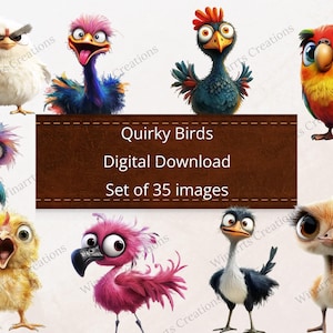 35 pájaros divertidos, pájaros extravagantes, imágenes prediseñadas, descarga digital, PNG, imprimible, alta calidad, sublimación, descarga instantánea, ilustración, pájaros caprichosos
