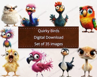 35 Funny Birds Quirky Birds Clipart Digital Download PNG Printable High Quality Sublimation Instant Download Illustration Whimsical Birds