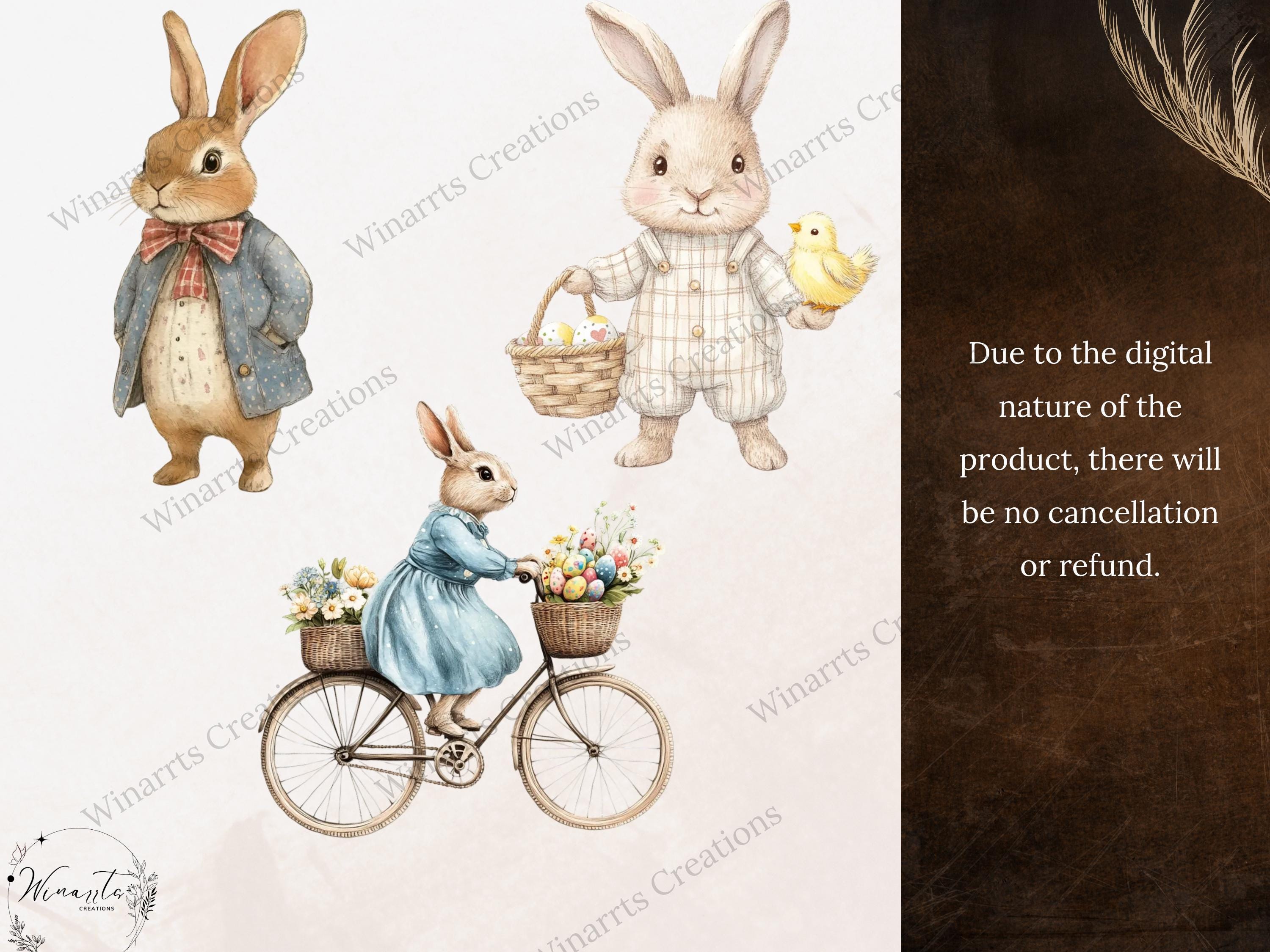 40 Spring Bunny Rabbit Clipart Digital Download PNG Printable High ...