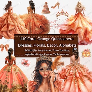 accessories for a brown dress Rachel Allan RQ5003 Long Quinceanera Applique Ball Gown