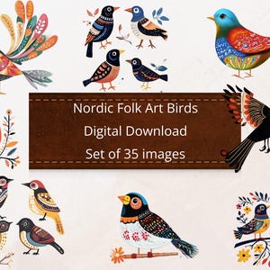 35 Nordic Folk Art Birds Clipart Digital Download PNG Printable High Quality Sublimation Instant Download Illustration Norwegian