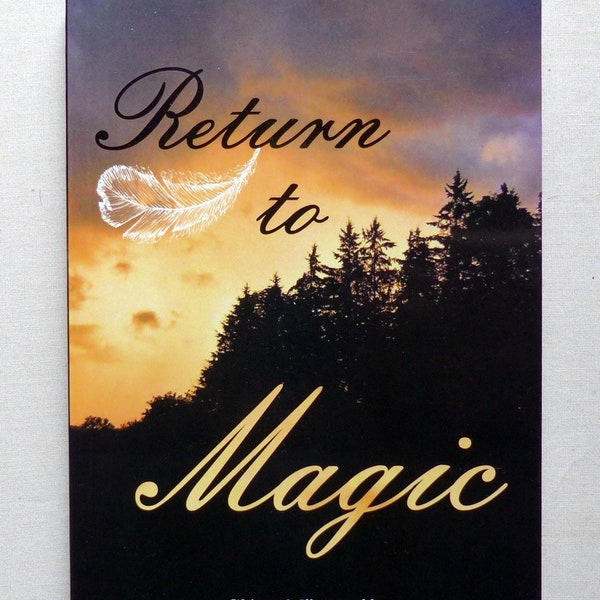 Return to Magic (novel)