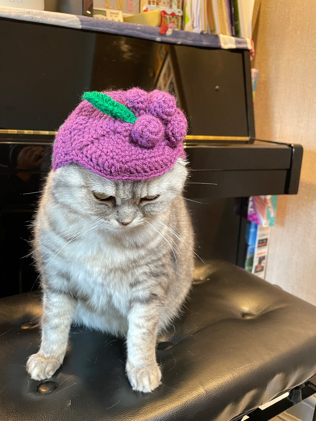 Crochet Grapes Hat for Cat, Crochet Pet Accessories, Cat Hat, Pet Hat