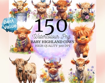 Highland cow png, watercolor clipart, highland cow baby, baby shower decor, baby animals, Water Colour Cow, clip art bundle, cow png clipart