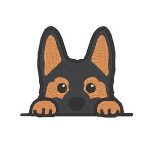 Op de afbeelding: Een zwart-bruine Duitse herder kijkt over een wit oppervlak met zijn poten uitgestoken. De hond heeft een zwarte neus en bruine ogen.