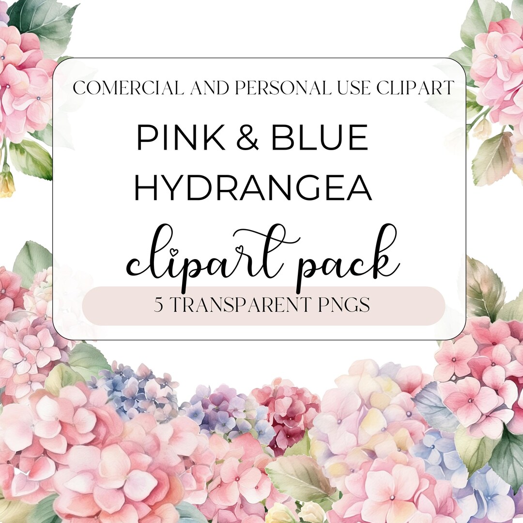 Watercolor Pink and Blue Hydrangea Flower Clipart, Roses Bouquets for