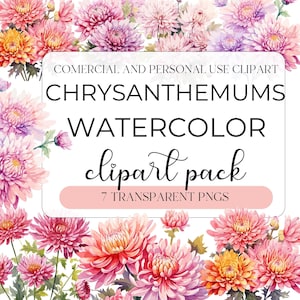 Paquete de imágenes prediseñadas de crisantemo de acuarela, imágenes prediseñadas de flores del mes de nacimiento de noviembre colorido, uso personal y comercial, PNG transparentes