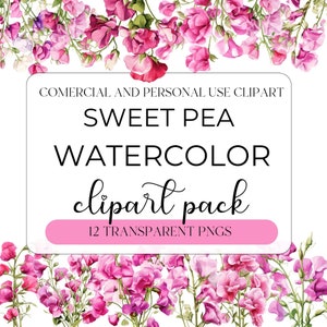 Sweet Pea PNG, aquarel Sweet Pea, bloem clipart, Sweet Pea, transparante PNGs, persoonlijk en commercieel gebruik, Sweet Pea kunst