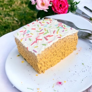 Fake cake/fake cake slice/faux/School cake