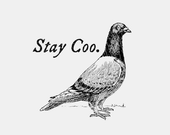 Stay Coo Pigeon PNG: Funny Bird Clipart (Digital Download)