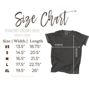 Comfort Colors 6 7 Shirt, Funny Number Meme Tee, Six Seven T-Shirt, Viral Meme Shirt, Trendy Graphic Tee, Retro Flower Shirt, Funny 67 Shirt image 3