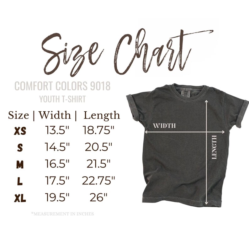Comfort Colors 6 7 Shirt, Funny Number Meme Tee, Six Seven T-Shirt, Viral Meme Shirt, Trendy Graphic Tee, Retro Flower Shirt, Funny 67 Shirt image 3