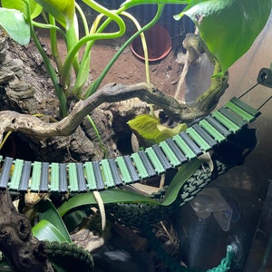 May include: A green and black reptile bridge made of plastic, hanging from the top of a terrarium. The bridge is made of multiple connected pieces, creating a zig-zag pattern.