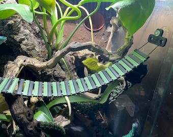 3D printed reptile bridge