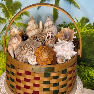Vintage French Seashell Basket, Hand Made Shell Basket, Circa 1920, Seashell  Basket 