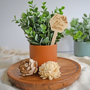 K&ouml;nnte beinhalten: Eine kleine Topfpflanze mit einem Holzschild, auf dem "Love is in Bloom" mit dem Datum 14. September 2023 steht. Die Pflanze steht in einem braunen Topf und befindet sich auf einem Holztablett.