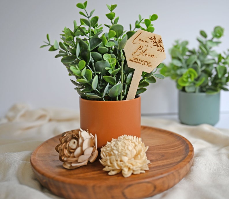 K&ouml;nnte beinhalten: Eine kleine Topfpflanze mit einem Holzschild, auf dem "Love is in Bloom" mit dem Datum 14. September 2023 steht. Die Pflanze steht in einem braunen Topf und befindet sich auf einem Holztablett.