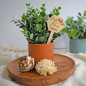 K&ouml;nnte beinhalten: Eine kleine Topfpflanze mit einem Holzschild, auf dem "Baby is in Bloom" mit dem Datum "September 2023" steht. Die Pflanze steht in einem braunen Topf und befindet sich auf einem Holztablett mit zwei Dekorativen Blumen.
