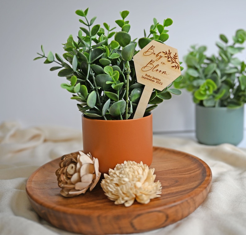 K&ouml;nnte beinhalten: Eine kleine Topfpflanze mit einem Holzschild, auf dem "Baby is in Bloom" mit dem Datum "September 2023" steht. Die Pflanze steht in einem braunen Topf und befindet sich auf einem Holztablett mit zwei Dekorativen Blumen.