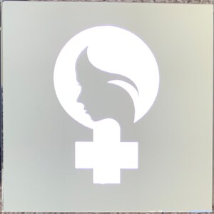 Mirrored light box (intersectional feminist)
