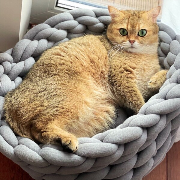 Knit Cat Bed Etsy