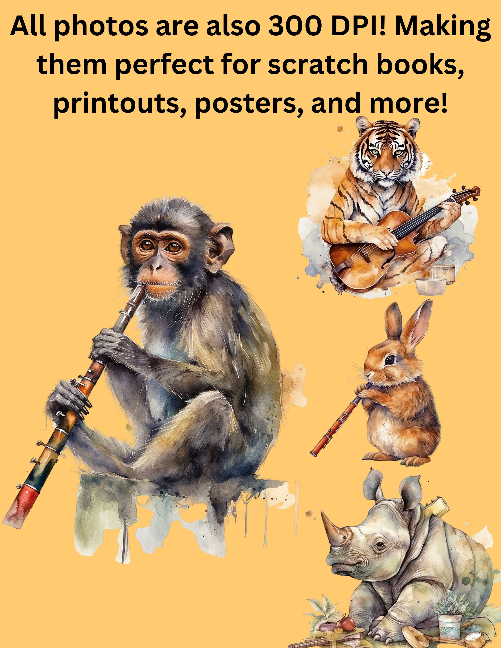 20 Musical Animals PNG Clipart Animals Making Music Giraffe Art Birds