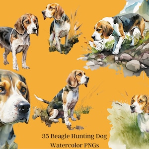35 Beagle Hunting Dog Clipart - 33 Hunting Hound Artwork - Hunting Dog PNG, Hunting Hound PNG, Beagle Art, Dog Clipart, 300 DPI Transparent