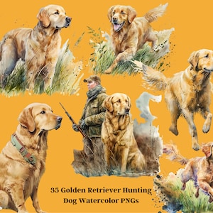 35 Golden Retriever Jagdhund Clipart - 33 Jagdhund Kunstwerk - Jagdhund PNG, Golden Retriever PNG, Hund Clipart, 300 DPI Transparent