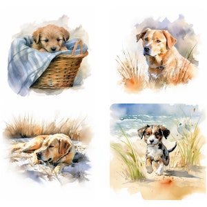Chesapeake 20 Clipart PNG Bunde - Chessie Puppies - High Quality Watercolor Art Instant Download - Opaque Images - Commercial Use Allowed v2