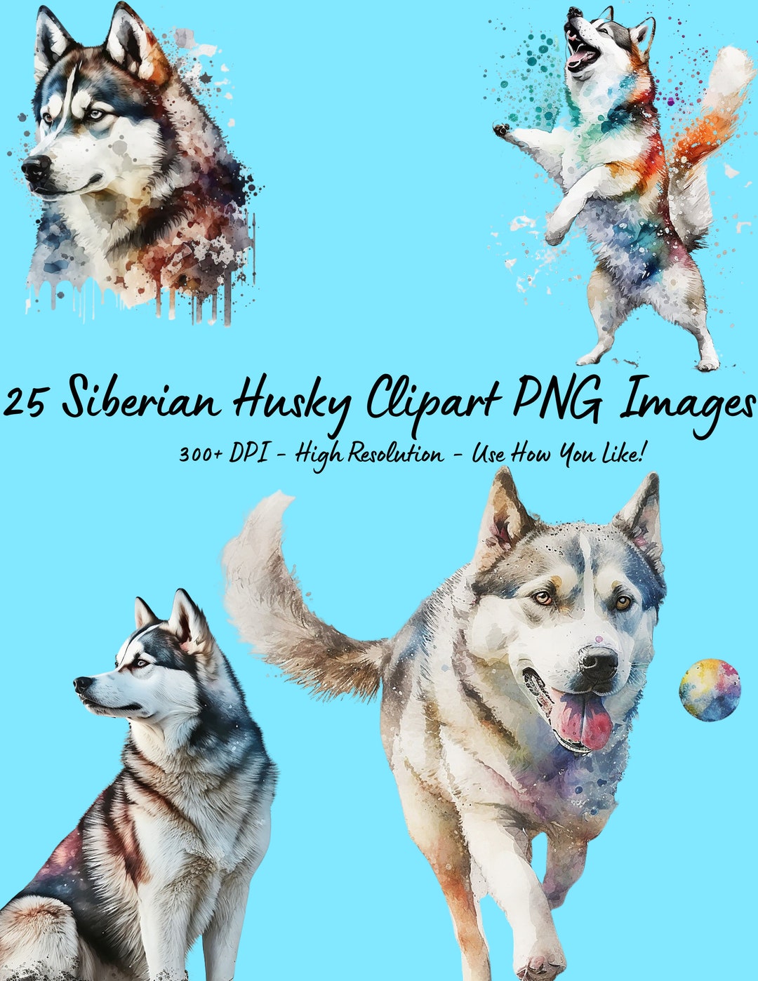 25 Siberian Husky Clipart - Siberian Husky PNG - Siberian Husky ...