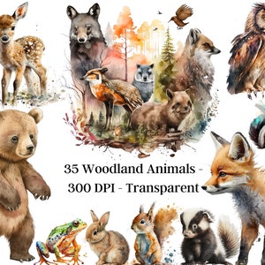 35 Woodland Animals PNG, Woodlands Clipart, Watercolor Fox Bear Deer Owl Bunny Skunk Raccoon Squirrel Frog Porcupine Racoon Nursery Wall Art