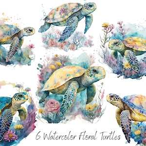 6 Floral Schildkröte PNG Clipart - Sofortiger Download bereit, Meerestier PNG, Schildkröte PNG, sublimieren Design 300 dpi Kommerzielle Nutzung