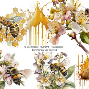 12 aquarel Honey Bee clipart png's, April Bee Art May Bee Art Hive Honey Art Drip Graphics Instant Download en commercieel gebruik toegestaan