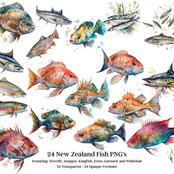 New Zealand Fish PNGs, Trevelly, Snapper, Kingfish, Trout, Gurnard, Whitebait, Transparent & Opaque Versions of Each, 300 DPI Commercial Use