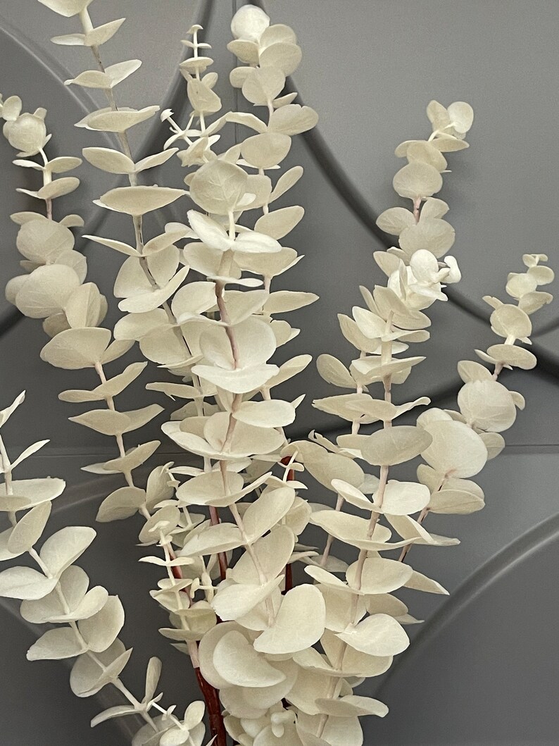 Artificial White Eucalyptus in Vase Fake Branch Flowers in Planter Faux