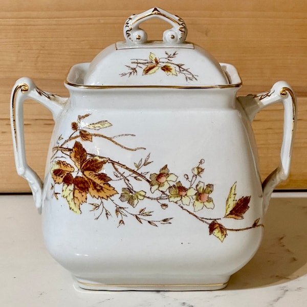 Vintage Maddock & Co. Royal Stone China Lidded Biscuit Jar, Sugar Bowl, Canister with Floral Design