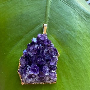 May include: A raw amethyst pendant with a gold-colored trim and bail. The pendant features a cluster of deep purple crystals. The background is a large green leaf.